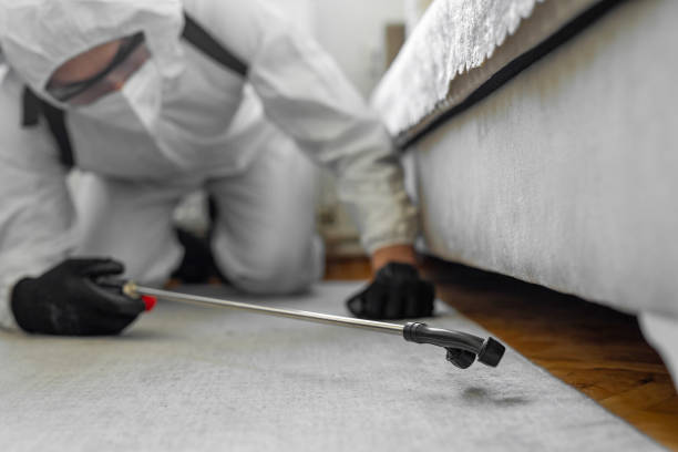 Professional Bed Bug Control technician working in Eastwood, MI