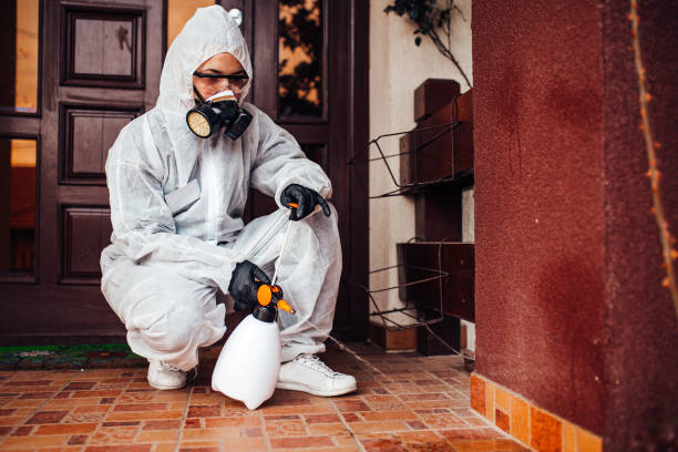Reliable Bed Bug Control contractor in Eastwood, MI by Nex Pest Control