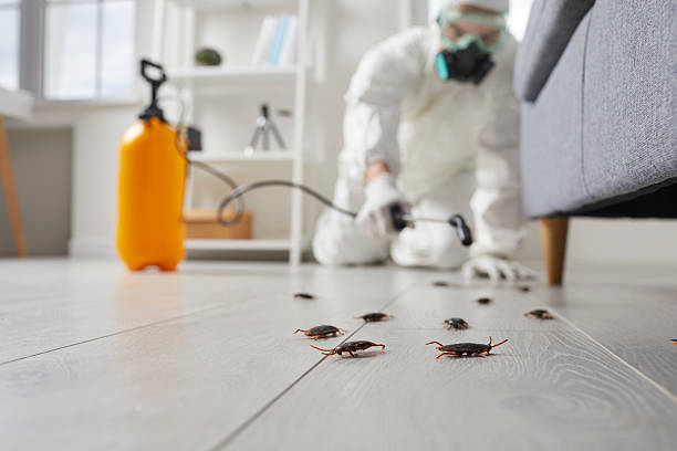 Trusted Cockroach Control service in Eastwood, MI - Nex Pest Control